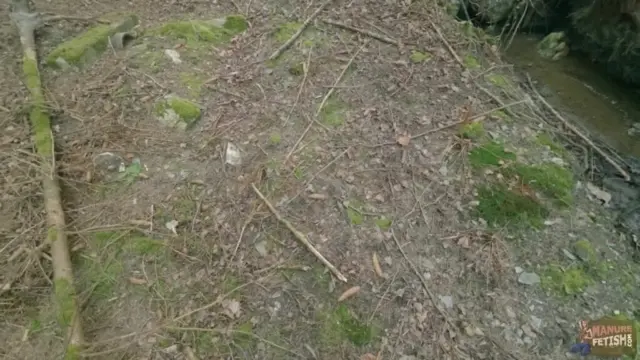 Trip To The Muddy Pasture